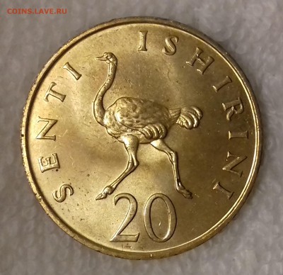 Бегущий страус - ТАНЗАНИЯ 20 сенти 1981 20161208_202455