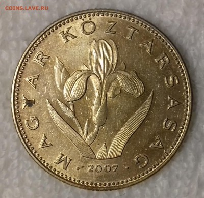 Ирис венгерский - ВЕНГРИЯ 20 форинтов 2007 20161208_204606