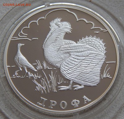 1 рубль 2004 Дрофа (Красная книга), до 16.12.16 в 22:00 МСК - DSCN1970.JPG