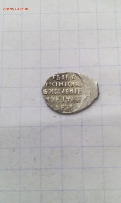 Чешуя на определение и оценку - IMG_20161209_120026