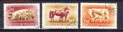 Венгрия 1952 фауна 3м - 142