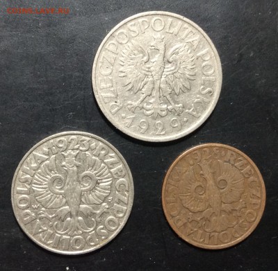 Польша 1 zl 1929г  50gr.1928г  5gr.1923г - image