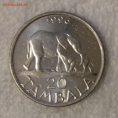 Слоны - МАЛАВИ 20 тамбала 1996 20161209_143454