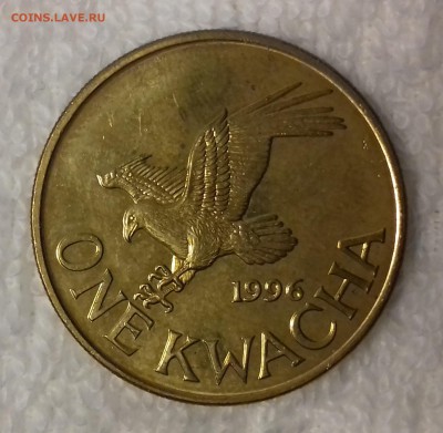 Рыбный орёл - МАЛАВИ 1 квача 1996 20161209_142202