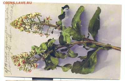 открытка 1912 с маркой, прошедшая почту - открытка 1912