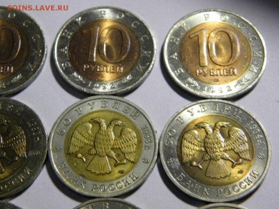 15 монет красной книги на оценку - PC100004.JPG