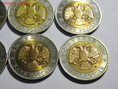 15 монет красной книги на оценку - PC100007.JPG