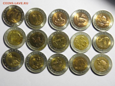 15 монет красной книги на оценку - PC100008.JPG