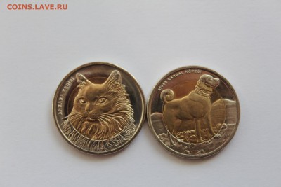 Турция 1 лира 2010 Кот и Пёс! UNC до 15.12.16 22:00 - IMG_2449.JPG