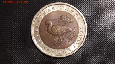 Казарка. Красная книга 1992. До 16.12 - IMG_20161210_181229_7