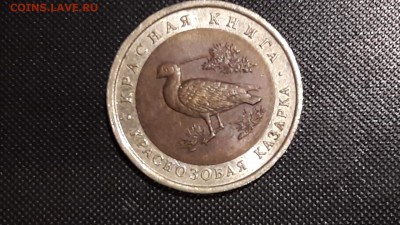 Казарка. Красная книга 1992. До 16.12 - IMG_20161210_181227_6