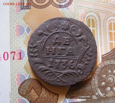 Денга 1736 до 15.12.2016 в 22 Мск - SAM_9050а