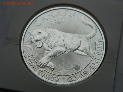 5$ Канада Ягуар,унцовка,серебро, 12.12.2016,22-00 по москве - DSCN5832