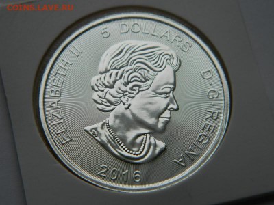 5$ Канада Ягуар,унцовка,серебро, 12.12.2016,22-00 по москве - DSCN5834