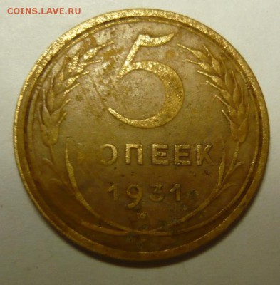5 коп 1930-55гг,11шт.До 11.12. 22.00 мск - P1170929.JPG