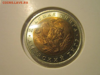 с 200 кк 1992 Тигр анц до 16.12.2016 в 22:30 - IMG_1532.JPG