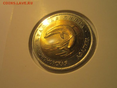 с 200 кк 1993 Афалина анц до 16.12.2016 в 22:30 - IMG_1518.JPG