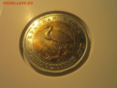 с 200 кк 1993 Аист анц до 16.12.2016 в 22:30 - IMG_1521.JPG