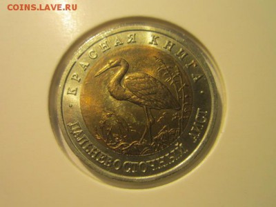 с 200 кк 1993 Аист анц до 16.12.2016 в 22:30 - IMG_1520.JPG