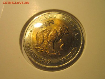 с 200 кк 1993 Медведь анц до 16.12.2016 в 22:30 - IMG_1524.JPG