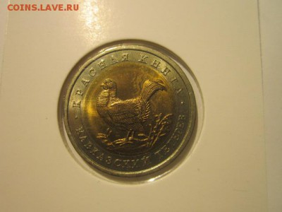 с 200 кк 1993 Тетерев анц до 16.12.2016 в 22:30 - IMG_1514.JPG