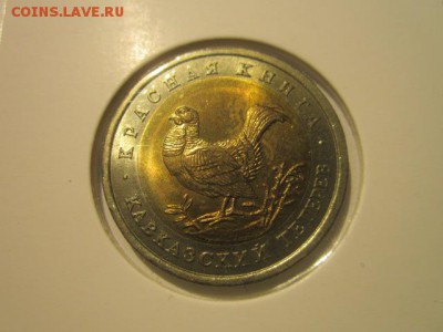 с 200 кк 1993 Тетерев анц до 16.12.2016 в 22:30 - IMG_1513.JPG
