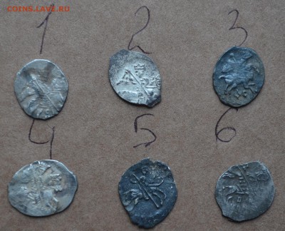 6 красивых чешуек на оценку - DSC_0144.JPG