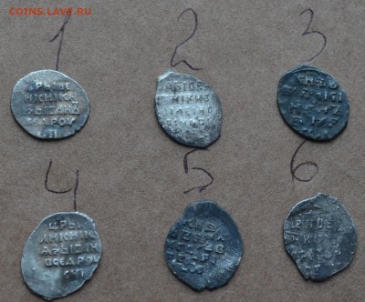 6 красивых чешуек на оценку - DSC_0151.JPG