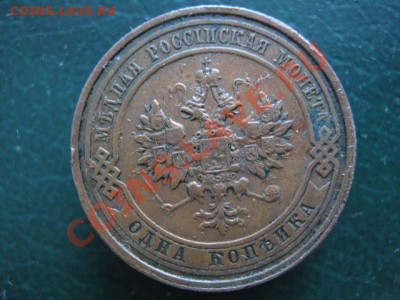 Потрёпанные жизнью медяки - IMG_4873
