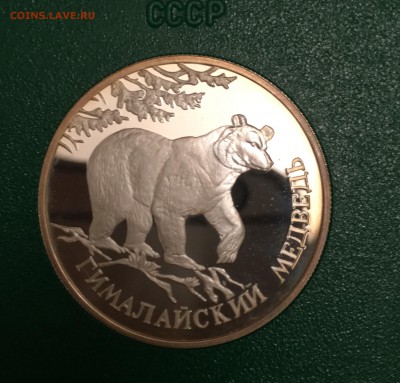 Красная книга. Серебро. 13шт - IMG_1038-01-12-16-10-33