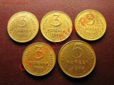 Лот советов. До 14.11.01. 21.00. мск. - IMG_5382.JPG