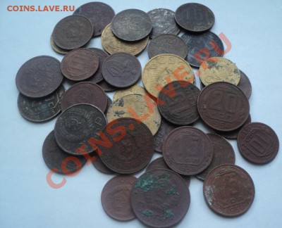 Советы на чистку 39шт ок 12.01.2010.21.00мск - DSC00936.JPG