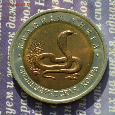 Красная книга среднеазиатская кобра до 15.12 в 22:11 - кобра а