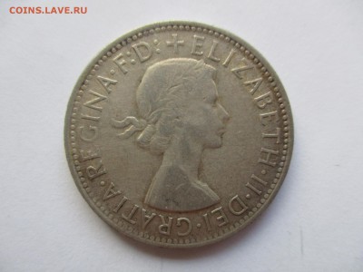 Австралия. 1 флорин 1961 г. с 1 рубля - IMG_0338.JPG