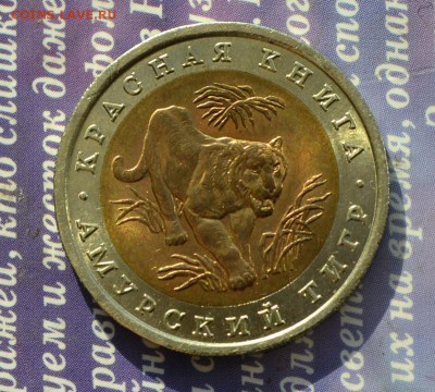 Красная книга амурский тигр до 15.12 в 22:11 - тигр а