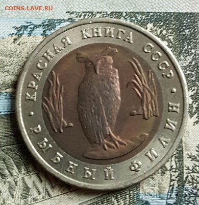 К-К. 5 р. 1991.Рыбный филин.С 200р. До 17.12.2016 в 22.02 - 20161213_143525
