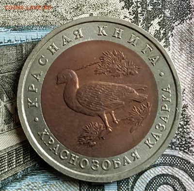 К-К. 10 р.1992. Казарка. С 200р. До 17.12.2016 в 22.05 - 20161213_143623