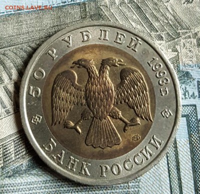 К-К. 50 р.1993. Тетерев. С 200р. До 17.12.2016 в 22.16 - 20161213_143933