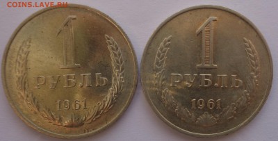 Годовики 61,67-72,74,75,77-83,88 ФИКС до 15-00 15.12.16г. - 61-1.JPG