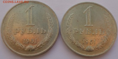 Годовики 61,67-72,74,75,77-83,88 ФИКС до 15-00 15.12.16г. - 61-2.JPG