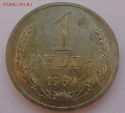 Годовики 61,67-72,74,75,77-83,88 ФИКС до 15-00 15.12.16г. - 69-2.JPG