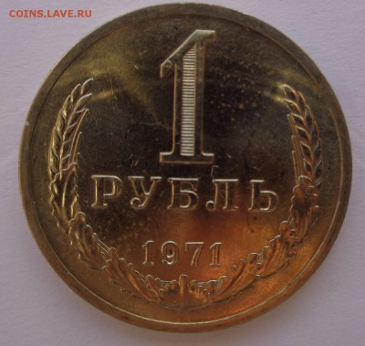 Годовики 61,67-72,74,75,77-83,88 ФИКС до 15-00 15.12.16г. - 71-1.JPG