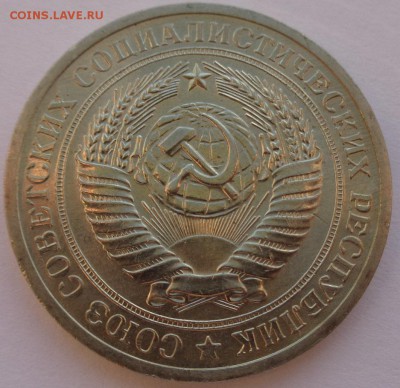Годовики 61,67-72,74,75,77-83,88 ФИКС до 15-00 15.12.16г. - 71-4.JPG