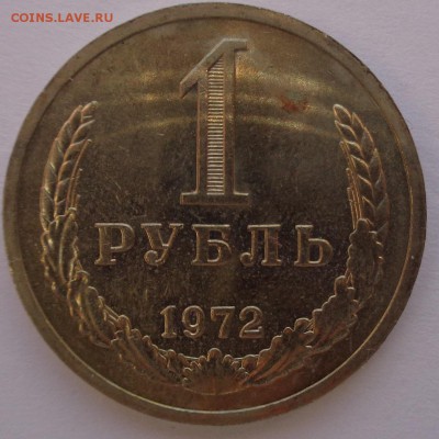 Годовики 61,67-72,74,75,77-83,88 ФИКС до 15-00 15.12.16г. - 72-1.JPG