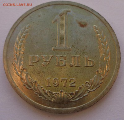 Годовики 61,67-72,74,75,77-83,88 ФИКС до 15-00 15.12.16г. - 72-2.JPG