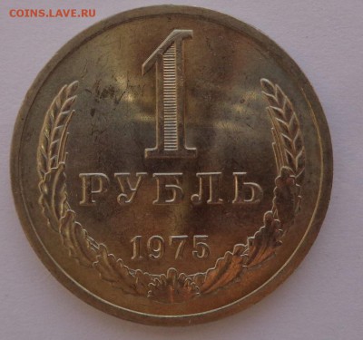 Годовики 61,67-72,74,75,77-83,88 ФИКС до 15-00 15.12.16г. - 75-1.JPG