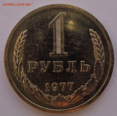 Годовики 61,67-72,74,75,77-83,88 ФИКС до 15-00 15.12.16г. - 77-1.JPG