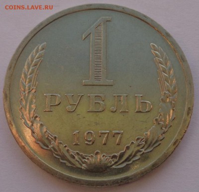 Годовики 61,67-72,74,75,77-83,88 ФИКС до 15-00 15.12.16г. - 77-2.JPG