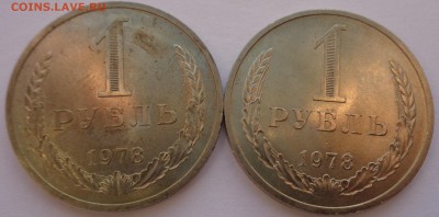 Годовики 61,67-72,74,75,77-83,88 ФИКС до 15-00 15.12.16г. - 78-2.JPG
