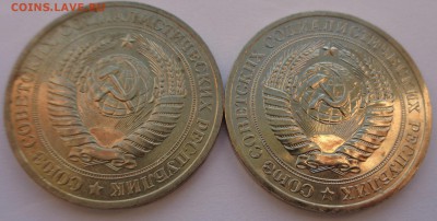 Годовики 61,67-72,74,75,77-83,88 ФИКС до 15-00 15.12.16г. - 79-4.JPG